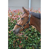 Produktbild von Kentucky Horsewear Kontrollhalfter aus Nylon Schwarz Größe M