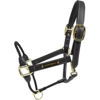 Produktbild von Kentucky Horsewear Lederhalfter aus Kunstleder für Pferde