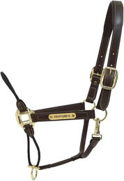 Kentucky Horsewear Lederhalfter Rope Braun für Pferde – Bild 1 von 12