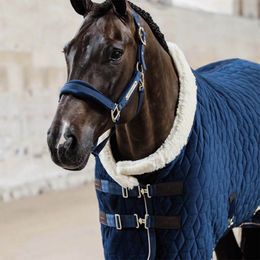 Kentucky Horsewear Marine Shetland Pony Samthalfter aus Nylon in Blau – Bild 1 von 2