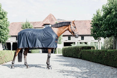 Kentucky Horsewear Mesh Fliegendecke für Pferde Blau 155 cm – Bild 1 von 6