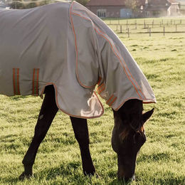 Produktbild von Kentucky Horsewear Mesh Fly Rug Comfort Fliegendecke für Pferde aus Polyester