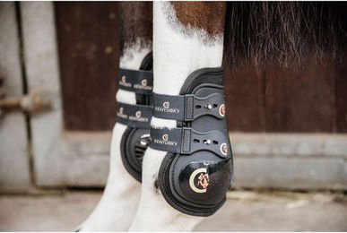 Kentucky Horsewear Moonboots Max Elastic Gamaschen aus Neopren für Warmblut in Braun und Schwarz – Bild 1 von 3
