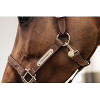 Produktbild von Kentucky Horsewear Namensschild aus Metall in Gold für Halfter