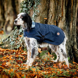 Kentucky Horsewear Newmarket Heritage Hundemantel aus Baumwolle wasserabweisend Winter Braun Blau XS – Bild 1 von 2