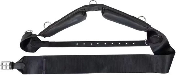 Produktbild von Kentucky Horsewear Nylon Führanlagengurt Schwarz Full