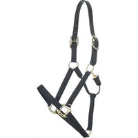 Produktbild von Kentucky Horsewear Nylon Halfter Breakaway für Pferde in Schwarz oder Gold