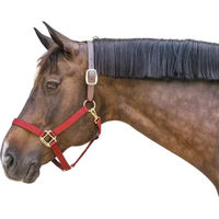 Produktbild von Kentucky Horsewear Nylon Halfter für Pferde in Rot und Gold