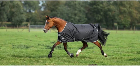 Kentucky Horsewear Outdoor-Decke für Pferde Anniversary Turnout Light SF Schwarz Silber Grau 165 cm - 50 g – Bild 1 von 5