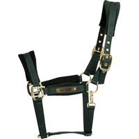 Produktbild von Kentucky Horsewear Pferdehalfter aus Nylon für Ponys in Grün