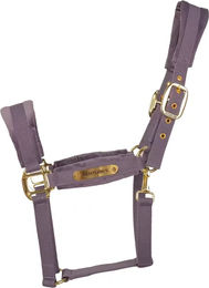 Produktbild von Kentucky Horsewear Pferdehalfter aus Nylon für Ponys in Lila