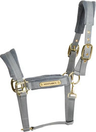 Kentucky Horsewear Pferdehalfter aus Nylon für Vollblut in Blau oder Grau – Bild 1 von 9