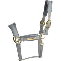 Produktbild von Kentucky Horsewear Pferdehalfter aus Nylon für Vollblut in Blau oder Grau