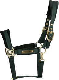 Produktbild von Kentucky Horsewear Pferdehalfter aus Nylon in Grün Größe S