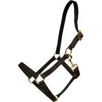 Produktbild von Kentucky Horsewear Pony Halfter aus Nylon in Schwarz oder Gold