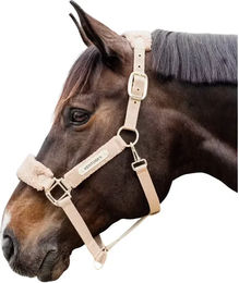 Kentucky Horsewear Pony Halfter aus Nylon mit Teddyfell in Beige und Gold – Bild 1 von 6
