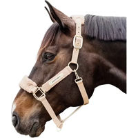 Produktbild von Kentucky Horsewear Pony Halfter aus Nylon mit Teddyfell in Beige und Gold