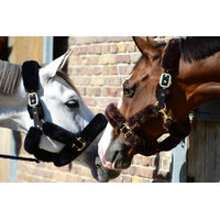 Produktbild von Kentucky Horsewear Pony Transporthalfter aus Nylon mit Lammfell in Schwarz