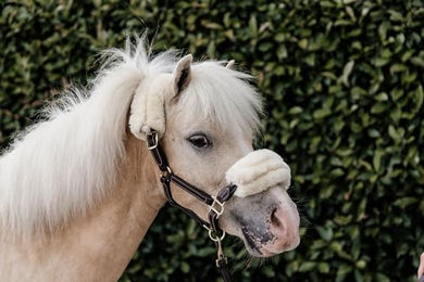 Kentucky Horsewear Ponyhalfter aus Leder mit Lammfell in Braun – Bild 1 von 5