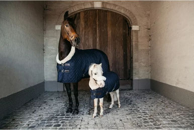 Kentucky Horsewear Präsentationsdecke für Ponys in Blau - 110 cm – Bild 1 von 8