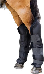 Kentucky Horsewear PROtect Long Hind Stallgamaschen für Pferde Schwarz Größe L – Bild 1 von 13
