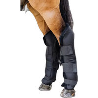 Produktbild von Kentucky Horsewear PROtect Long Hind Stallgamaschen für Pferde Schwarz Größe L
