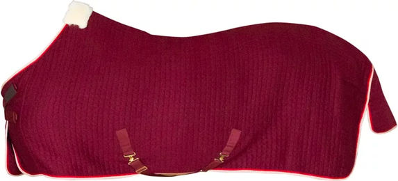 Kentucky Horsewear Protherm Trocknende Pferdedecke Rot 125 cm – Bild 1 von 2