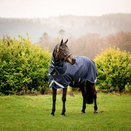 Produktbild von Kentucky Horsewear Rambo Duo Force Turnout Pferdedecke Navy - 3 x 100 g