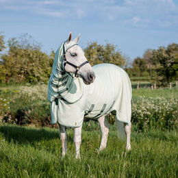 Produktbild von Kentucky Horsewear Rambo Hoody Pferdedecke aus Polyester Größe XL