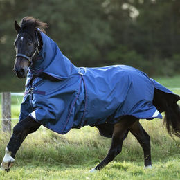 Kentucky Horsewear Rambo Optimo Plus Pferdedecken Bundle Navy/Burgundy Teal in Blau – Bild 1 von 5