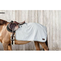 Produktbild von Kentucky Horsewear Reflektierende Ausreitdecke Silber Größe L