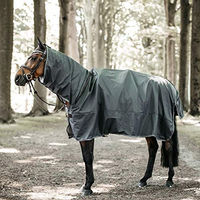 Produktbild von Kentucky Horsewear Regendecke Hurricane für Pferde Grau Größe L wasserdicht