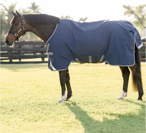 Kentucky Horsewear Rhino Turnout 0g Outdoor-Decke für Pferde Blau 155 – Bild 1 von 2