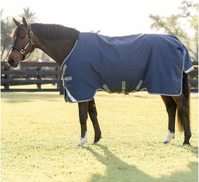 Kentucky Horsewear Rhino Turnout Outdoor-Decke für Pferde 100g Blau oder Grau - 100 g – Bild 1 von 2
