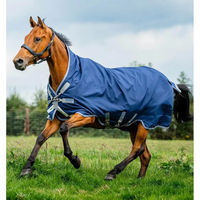 Produktbild von Kentucky Horsewear Rhino Wug Turnout 100g Outdoor-Pferdedecke aus Polyester