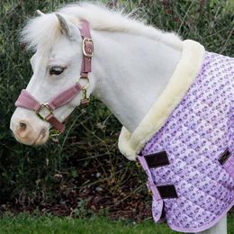 Kentucky Horsewear Sammy Collection Pferdedecke für Ponys 160g – Bild 1 von 8