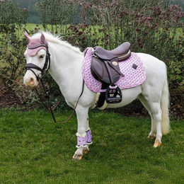 Kentucky Horsewear Sammy Collection Satteldecke für Ponys aus Baumwolle in Rosa – Bild 1 von 2