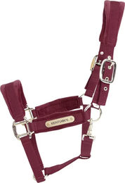 Kentucky Horsewear Samthalfter für Vollblut in Rot mit Gold in Nylon – Bild 1 von 7