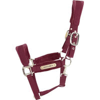 Produktbild von Kentucky Horsewear Samthalfter für Vollblut in Rot mit Gold in Nylon