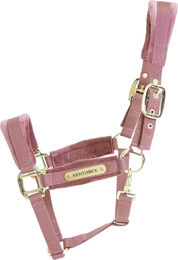 Kentucky Horsewear Samthalfter für Warmblut in Rosa und Blau – Bild 1 von 3