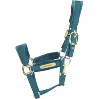 Produktbild von Kentucky Horsewear Samthalfter Velvet in Grün/Türkis für Vollblut Pferde