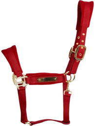 Kentucky Horsewear Samthalfter Velvet Stallhalfter Rot Cob für Vollblut – Bild 1 von 1