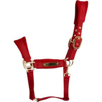 Produktbild von Kentucky Horsewear Samthalfter Velvet Stallhalfter Rot Cob für Vollblut