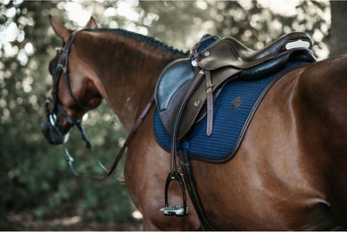 Kentucky Horsewear Satteldecke Color Edition Orange Leder Springen Größe Full – Bild 1 von 3