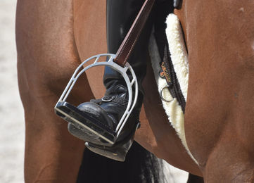 Kentucky Horsewear Sattelgurt aus Lammfell Schwarz 130 cm – Bild 1 von 9
