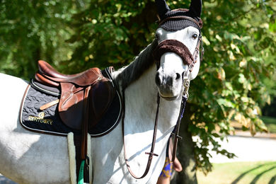 Kentucky Horsewear Sattelgurt mit Lammfellimitat aus Nylon in Braun oder Schwarz – Bild 1 von 4