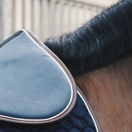Kentucky Horsewear Sattelpad Absorb für Vollblut in Navy-Weiß-Braun mit Kunstleder-Details – Bild 1 von 6