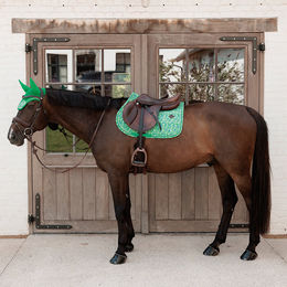 Kentucky Horsewear Sattelunterlage Velvet Jumping für Pferde in Velours – Bild 1 von 7