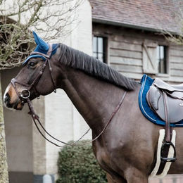 Kentucky Horsewear Schabracke Basic Velvet für Vollblut in Blau – Bild 1 von 6