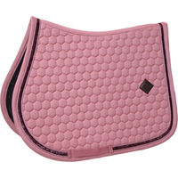 Produktbild von Kentucky Horsewear Schabracke Glitter Band Rosa für Warmblut
